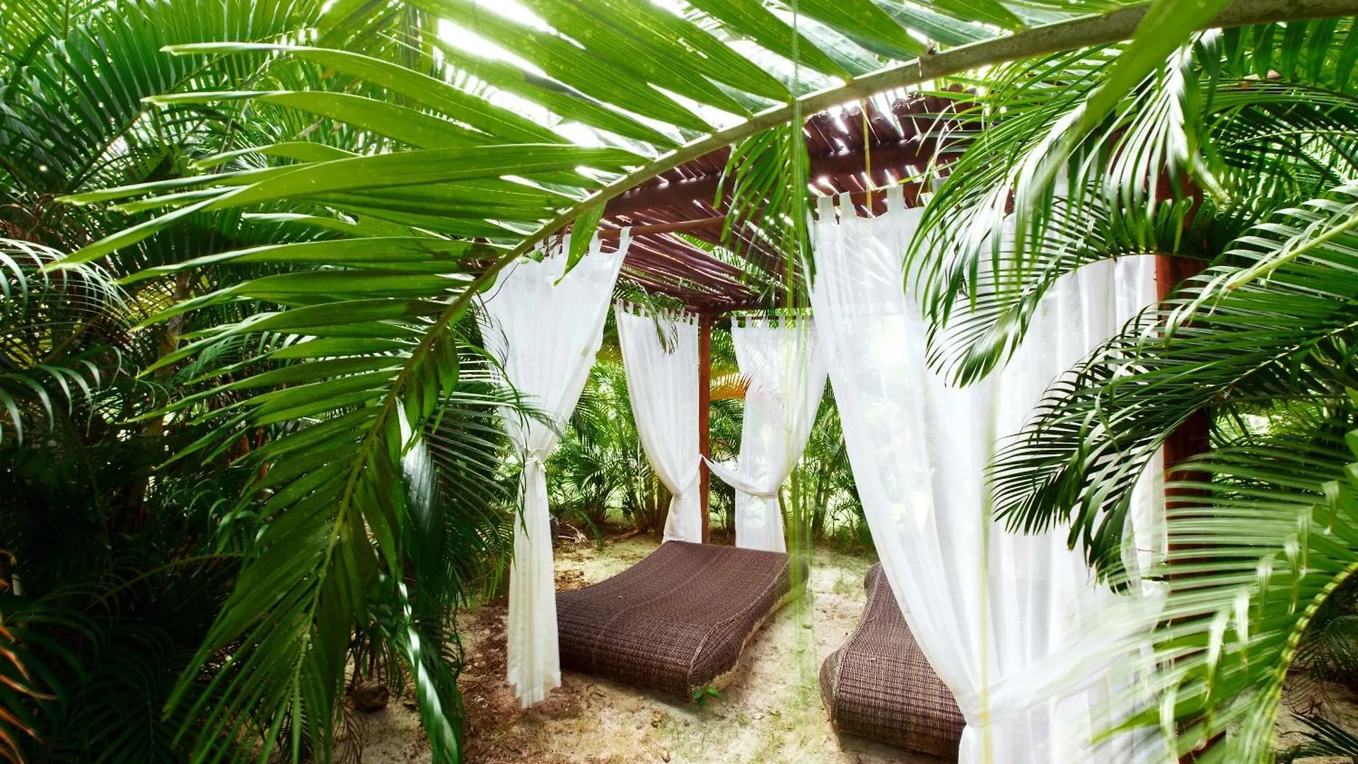 Tropicana Studios Punta Cana Hotell